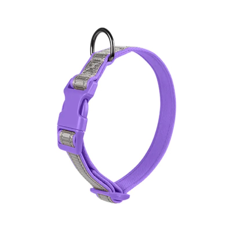 Smart Collars and Sturdy Designs: The Tallfly Pet Gear Frontier