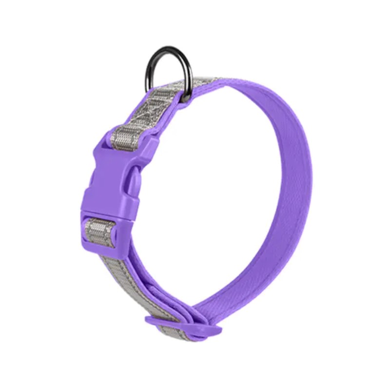 Sustainable Style & Safety: The Modern Evolution of Pet Collars