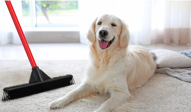 Taizhou Opey Pet Products Co., Ltd.