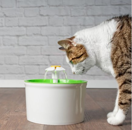 Opey Pet Water Fountain