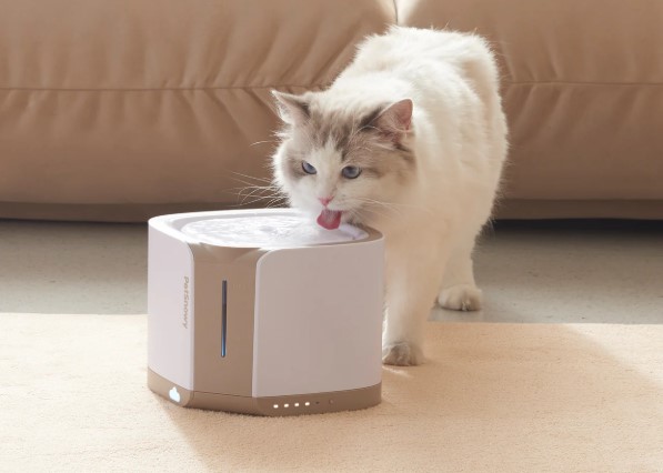 Can a Pet Water Fountain Really Improve Your Pet’s Health
