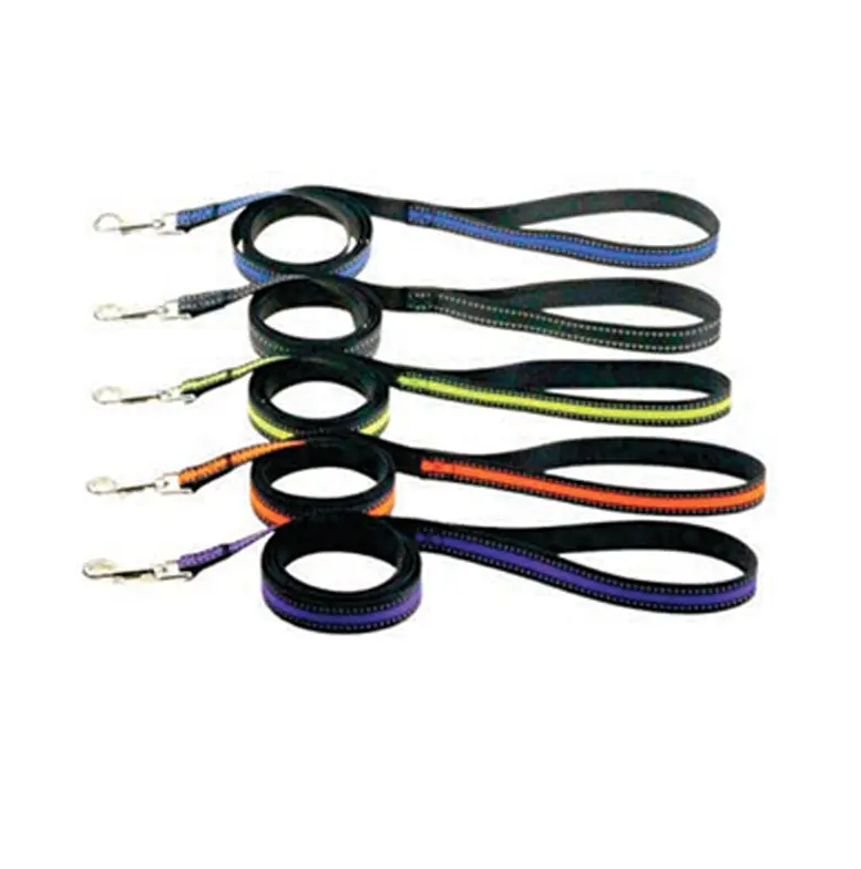 dog gold chain leash